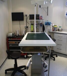 Dedicated sterile Theatre with electrosurgery and air driven orthopaedic equipment.  Up-to-date anaesthetic circuits and monitoring systems to ensure the safety of anaethetised patients.